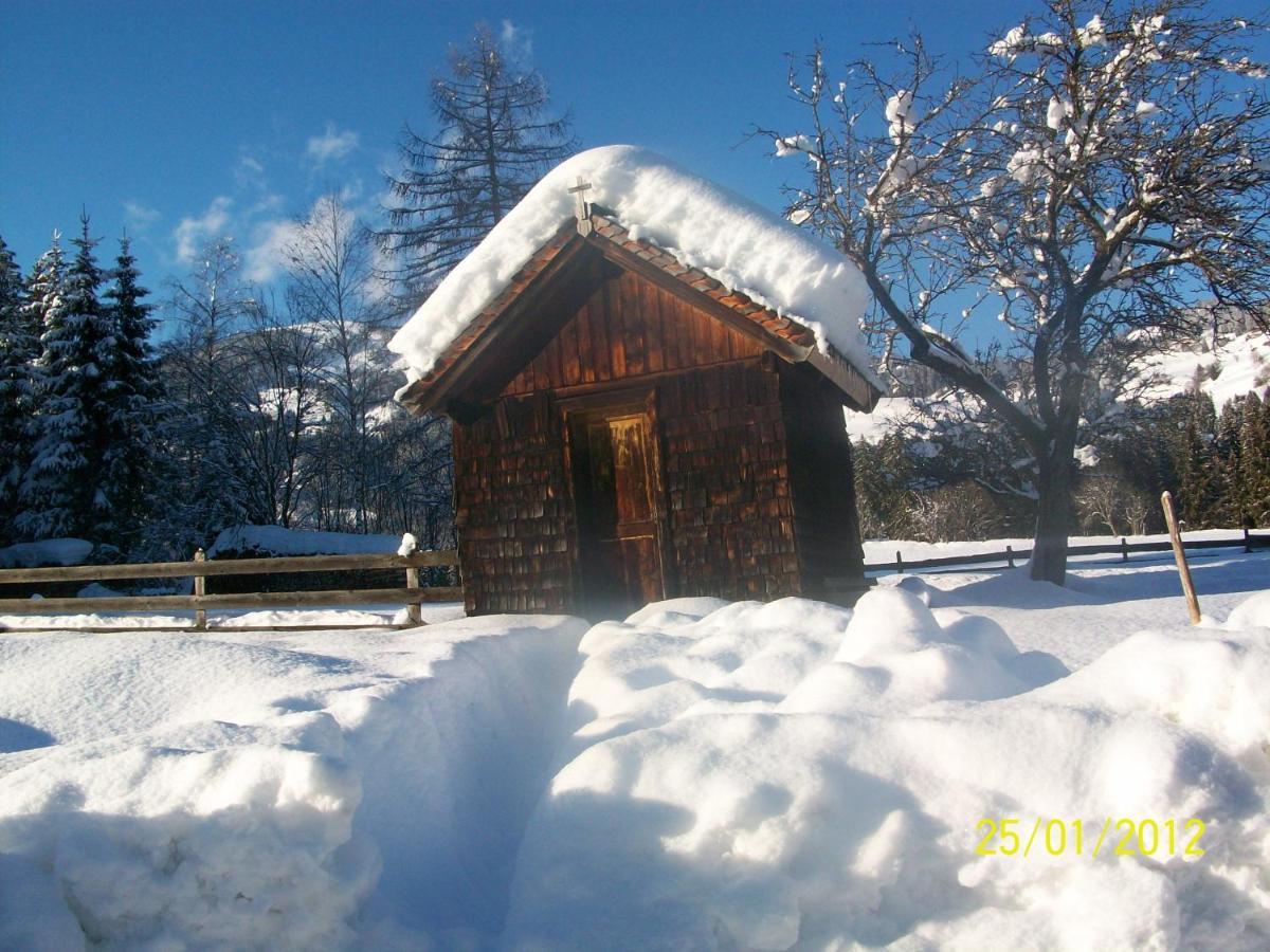 Mitterhaidgut Villa Hollersbach im Pinzgau Eksteriør billede