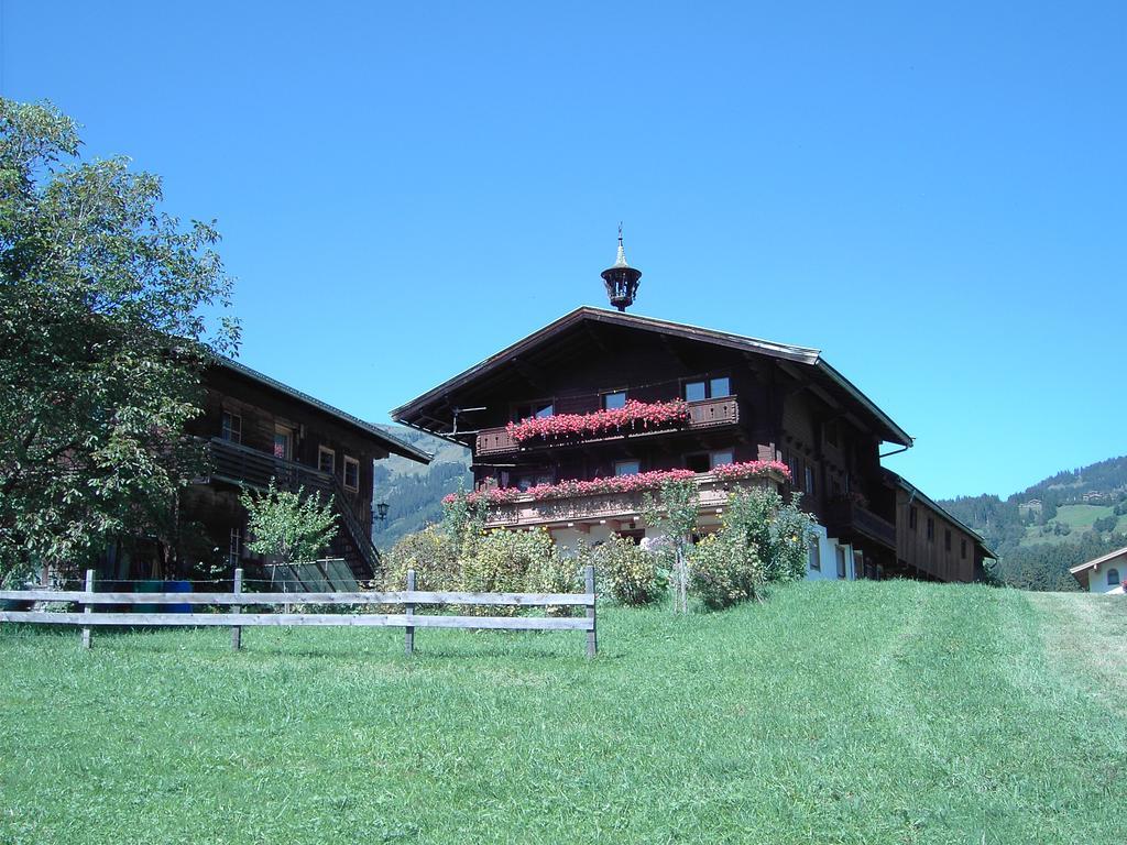 Mitterhaidgut Villa Hollersbach im Pinzgau Eksteriør billede