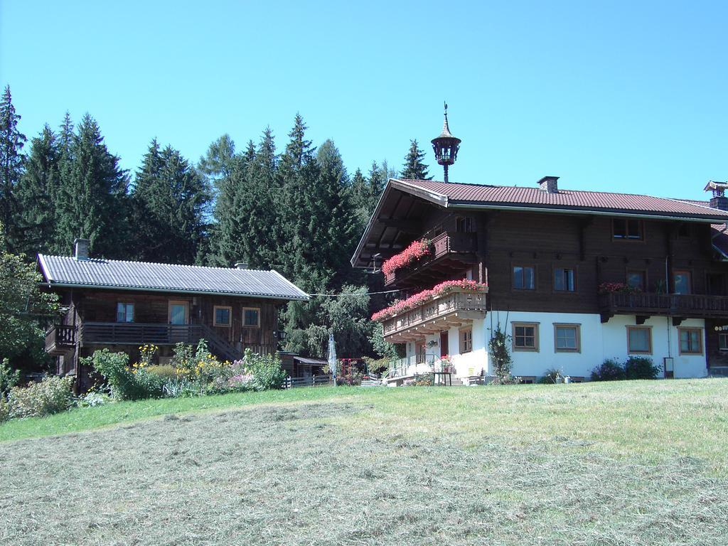 Mitterhaidgut Villa Hollersbach im Pinzgau Eksteriør billede