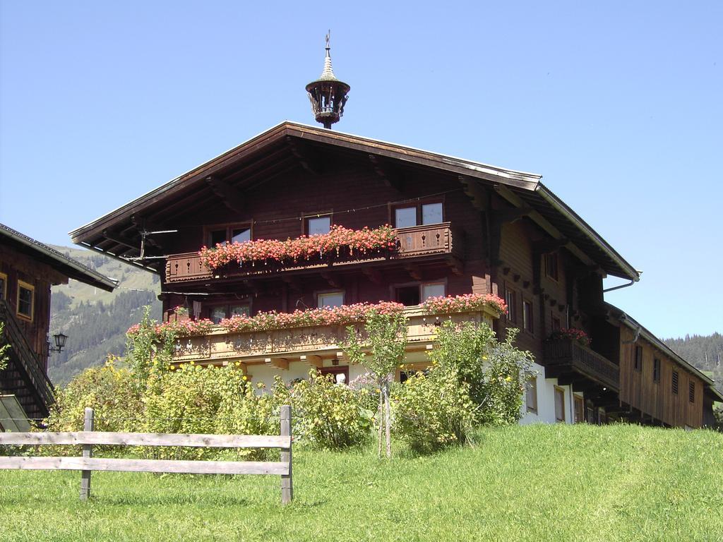 Mitterhaidgut Villa Hollersbach im Pinzgau Eksteriør billede