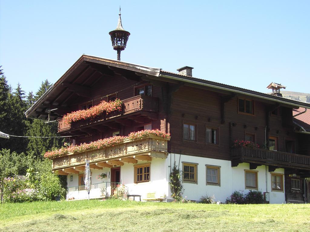 Mitterhaidgut Villa Hollersbach im Pinzgau Eksteriør billede